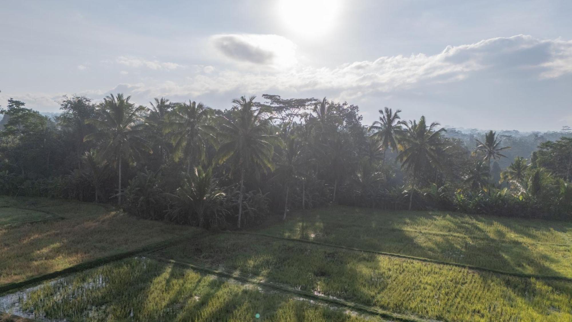 Aditara Sebatu Villa Ubud Esterno foto