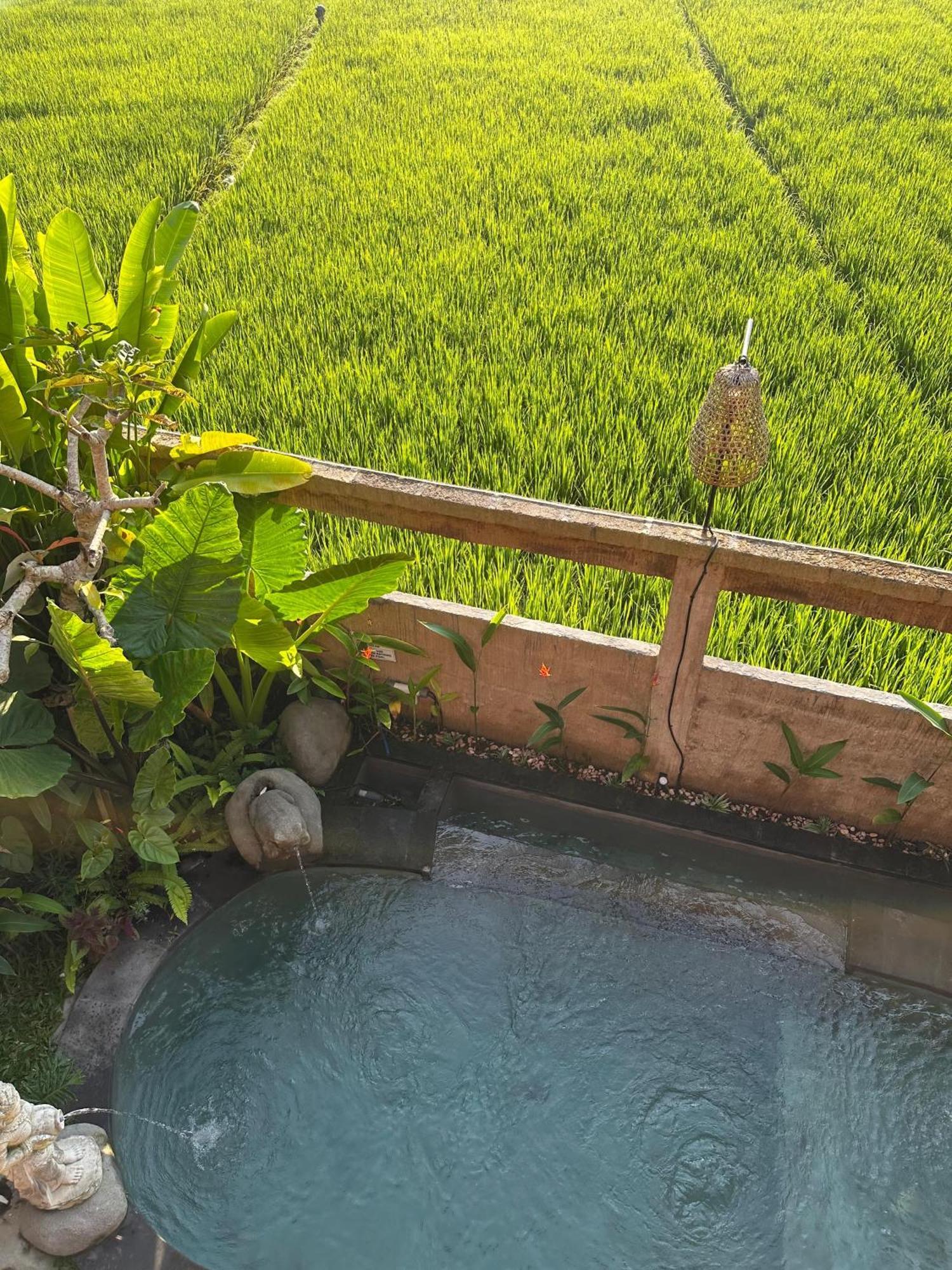 Aditara Sebatu Villa Ubud Esterno foto
