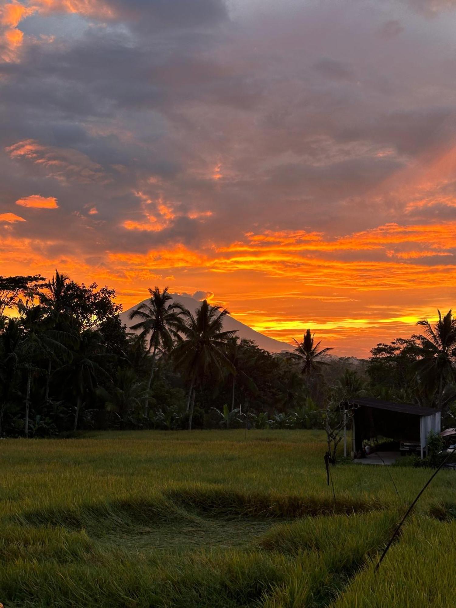 Aditara Sebatu Villa Ubud Esterno foto
