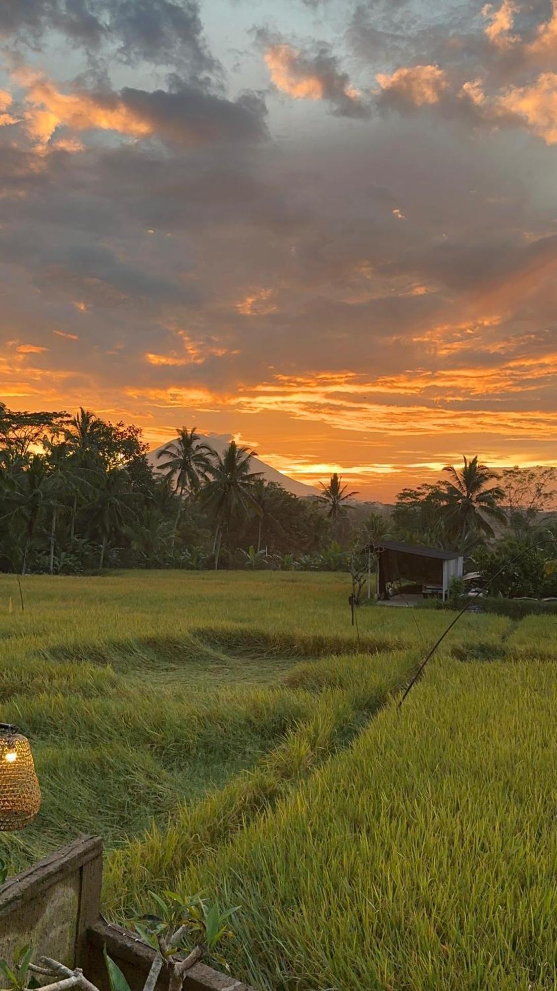Aditara Sebatu Villa Ubud Esterno foto